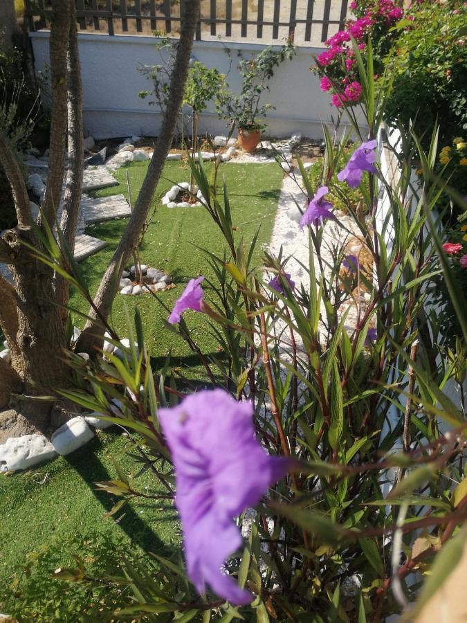 La Casa De Portorafti Villa Pórto Ráfti Dış mekan fotoğraf